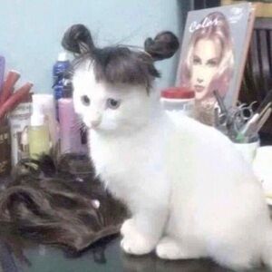 Meet your Posher, Katia